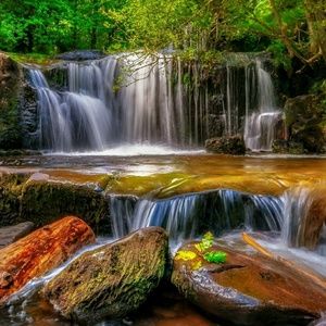 Meet your Posher, cherry